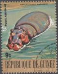 Colnect-1975-610-Hippopotamus-Hippopotamus-amphibius.jpg
