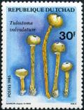 Colnect-2387-699-Tulustorna-volvulatum.jpg
