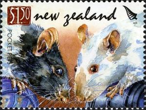 Colnect-691-167-Fancy-Rat-Rattus-norvegicus-forma-domestica.jpg