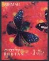 Colnect-1567-634-Striped-Blue-Crow-Butterfly-Euploea-mulciber-basilissa.jpg