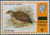 Colnect-3961-267-Red-backed-Buttonquail-Turnix-maculosus.jpg