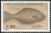 Colnect-877-389-Atlantic-Halibut-Hippoglossus-hippoglossus.jpg