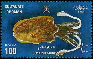 Colnect-1899-640-Pharaoh-Cuttlefish-Sepia-pharaonis.jpg