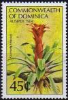 Colnect-2017-193-Guzmania-lingulata.jpg