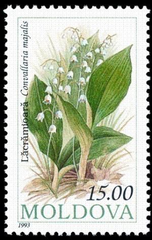 Colnect-506-966-Lily-of-the-valley-Convallaria-majalis.jpg