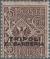 Colnect-1648-964-Italy-Stamps-Overprint--TRIPOLI-DI-BARBERA-.jpg