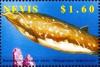 Colnect-4411-276-Blainville-s-beaked-whale.jpg