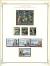 WSA-St._Kitts_and_Nevis-Postage-1976-1.jpg