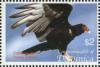 Colnect-3202-258-Turkey-Vulture-Cathartes-aura.jpg