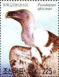 Colnect-2413-990-White-backed-Vulture-Pseudogyps-africanus.jpg