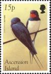 Colnect-4414-479-Barn-Swallow-Hirundo-rustica.jpg