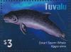 Colnect-6282-069-Dwarf-Sperm-Whale.jpg