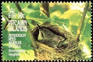 Colnect-2648-972-Pitcairn-Reed-warbler-Acrocephalus-vaughanii.jpg