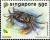 Colnect-4263-349-Johnson-s-Freshwater-Crab-Irmengardia-johnsoni.jpg