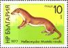 Colnect-4207-486-Least-Weasel-Mustela-nivalis.jpg