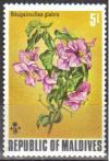 Colnect-838-386-Paper-Flower-Bougainvillea-glabra.jpg
