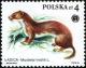 Colnect-1960-345-Least-Weasel-Mustela-nivalis.jpg