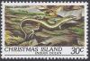 Colnect-1719-915-Christmas-Island-Whiptail-Skink-Emoia-nativitatis.jpg