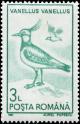 Colnect-4639-121-Northern-Lapwing-nbsp-Vanellus-vanellus.jpg