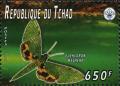 Colnect-2995-033-Verdant-Hawk-moth-Euchloron-megaera.jpg