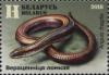 Colnect-5817-265-Slow-Worm-Anguis-fragilis.jpg