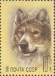 Colnect-1419-180-Wolf-Canis-lupus.jpg