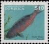 Colnect-3215-581-Creole-Wrasse-Clepticus-parrae.jpg