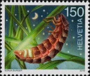 Colnect-3284-338-Common-Glow-worm-Lampyris-noctiluca-.jpg