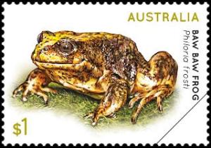 Colnect-5065-827-Baw-Baw-Frog-Philoria-frosti.jpg