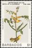 Colnect-863-979-American-Yellow-Warbler-Dendroica-petechia.jpg