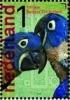 Colnect-1485-542-Hyacinth-Macaw-Anodorhynchus-hyacinthinus.jpg