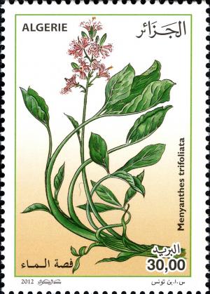 Colnect-1699-056-Menyanthes-trifoliatra.jpg