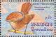 Colnect-2193-436-Amazonian-Royal-Flycatcher-Onychorhynchus-coronatus.jpg