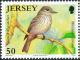 Colnect-5234-796-Spotted-Flycatcher-Muscicapa-striata.jpg
