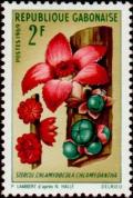 Colnect-1208-570-Chlamydocola-chlamydantha.jpg