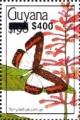 Colnect-5850-238-Nymphidium-caricae.jpg
