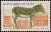 Colnect-2191-611-Donkey-Equus-asinus-asinus.jpg
