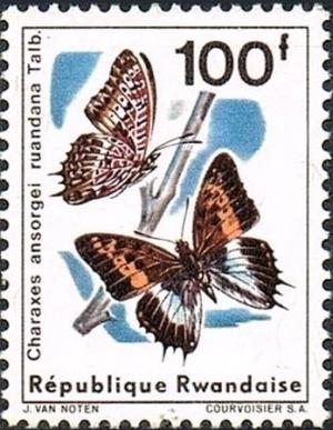 Colnect-2615-771-Charaxes-Butterfly-Charaxes-ansorgei-ssp-ruandana.jpg