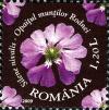 RO018.09.jpg