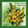 VN003.08.jpg