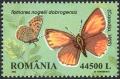RO053.02.jpg