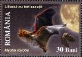 RO081.06.jpg