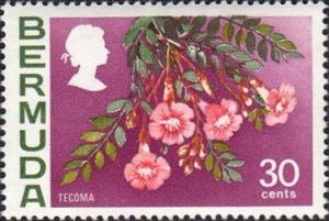Colnect-2073-060-Tecoma.jpg