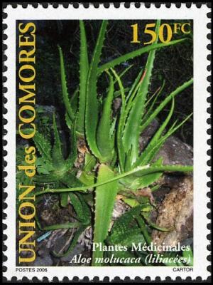 Colnect-6056-059-Aloes.jpg