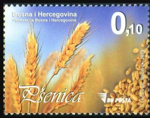 Colnect-6084-018-Wheat.jpg