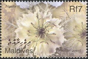MV092.02.jpg