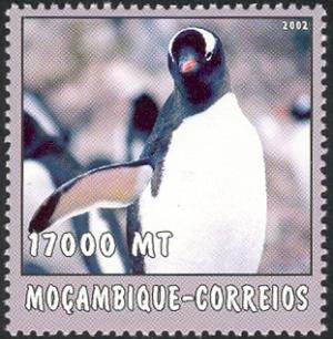 MZ550.02.jpg