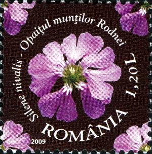 RO018.09.jpg