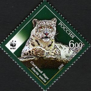 RU045.07.jpg