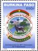 BF017.08.jpg